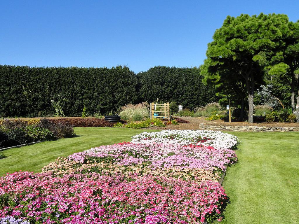 JC Raulston Arboretum